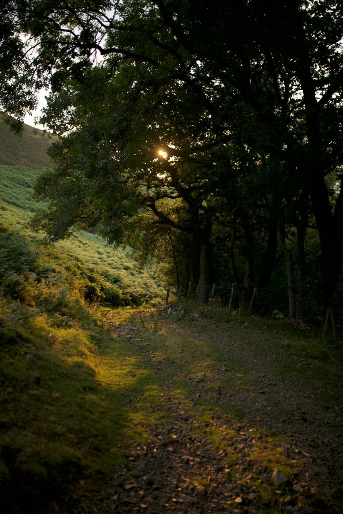 Presteigne Two Unique Cabins Wrapped In Beautiful Welsh Scenery מראה חיצוני תמונה